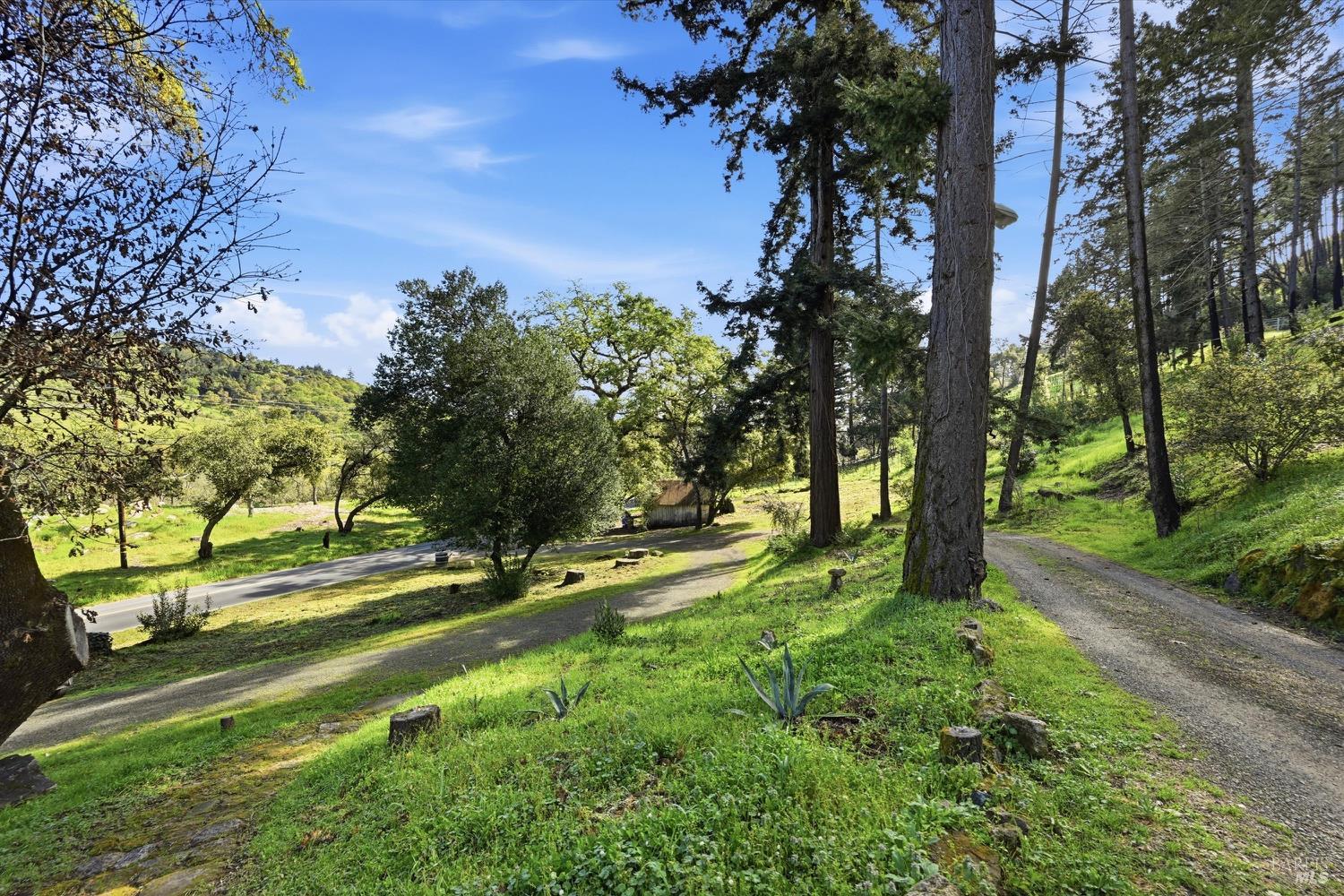 1830 Howell Mountain Road St. Helena, CA 94574 - Photo 32 of 33 a view of a yard with a tree