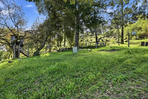 a view of yard with trees