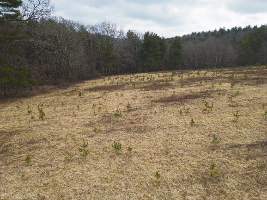 3 Long Mountain Road Southwest Willis, VA 24380 - Photo 19 of 66 Gallery Image 19