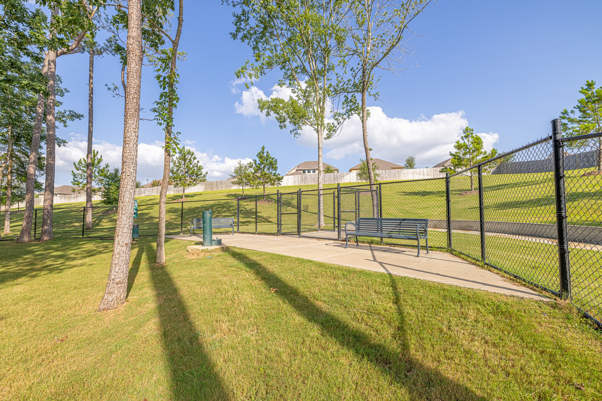 17705 Hanson Ridge Drive Montgomery, TX 77316 - Photo 35 of 44