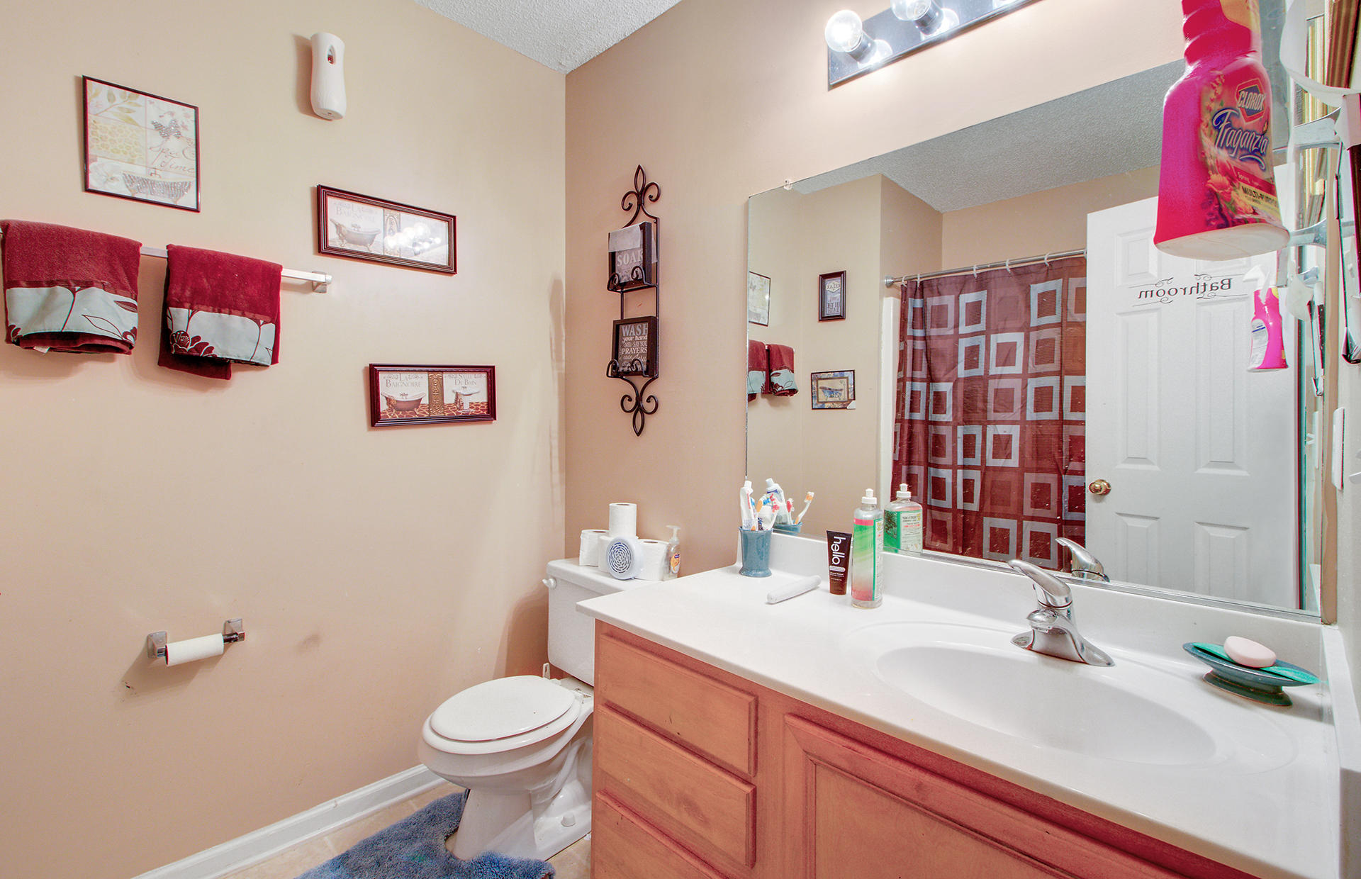 247 Eagle Ridge Road Summerville, SC 29485 - Photo 22 of 27 12