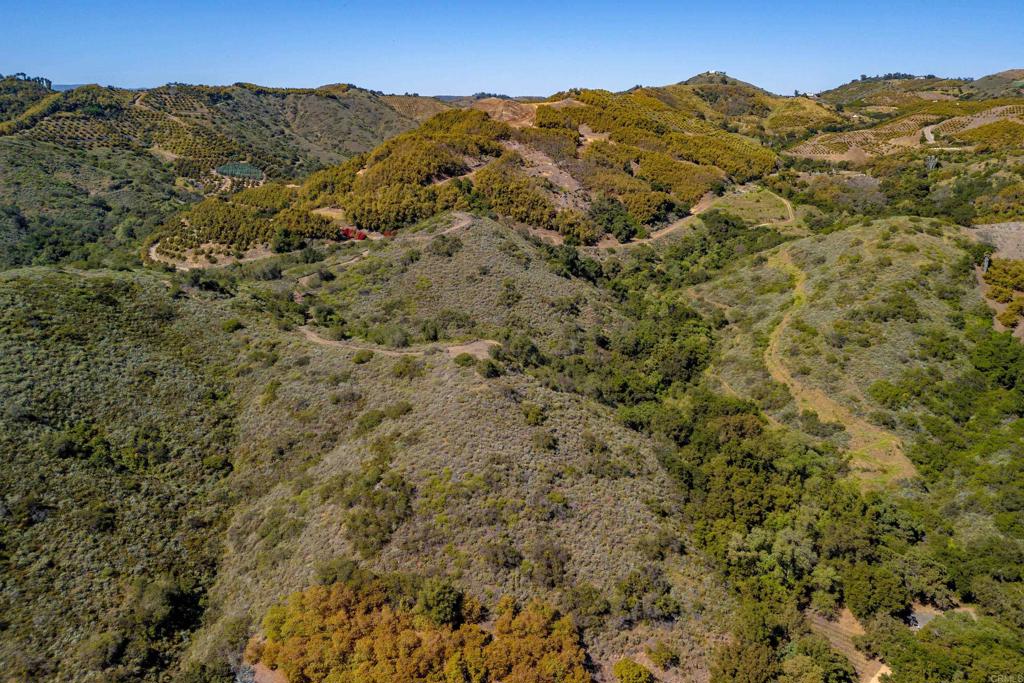 9-10 Calle Cresta Road Temecula, CA 92590 - Photo 13 of 21 view of a mountain range with trees