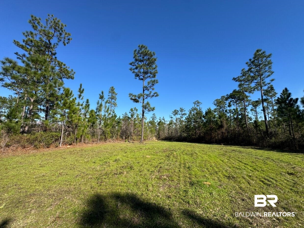 White Road Bay Minette, AL 36507 - Photo 26 of 32 View of yard
