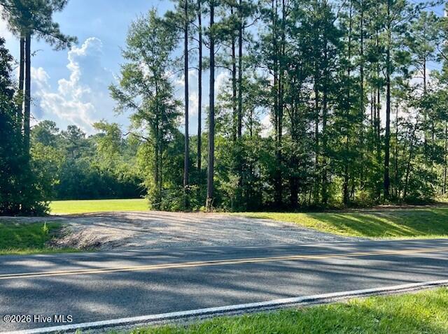 701 Old Church Road Swansboro, NC 28584 - Photo 4 of 19 large residential lot