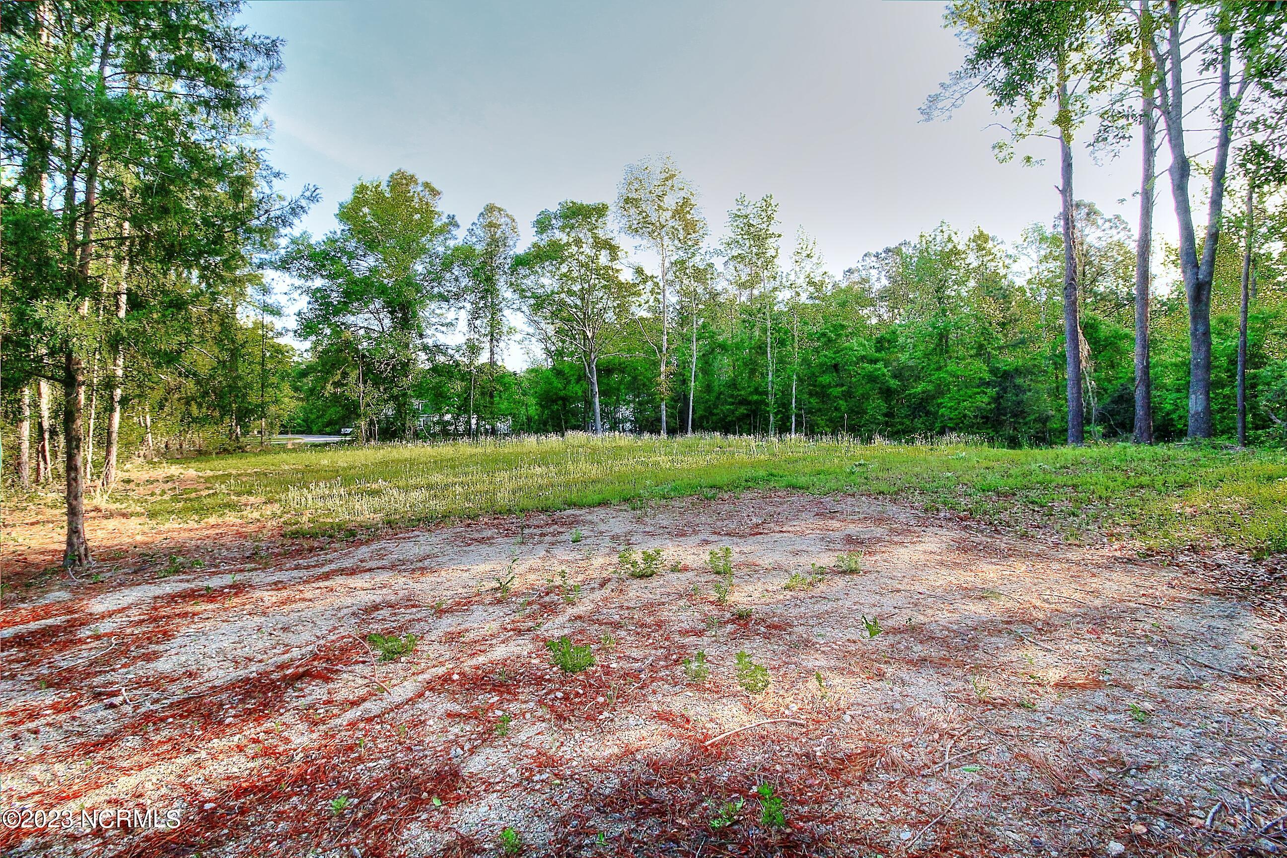 228 Mintz Cemetery Road Northwest Ocean Isle Beach, NC 28469 - Photo 2 of 3 Pic