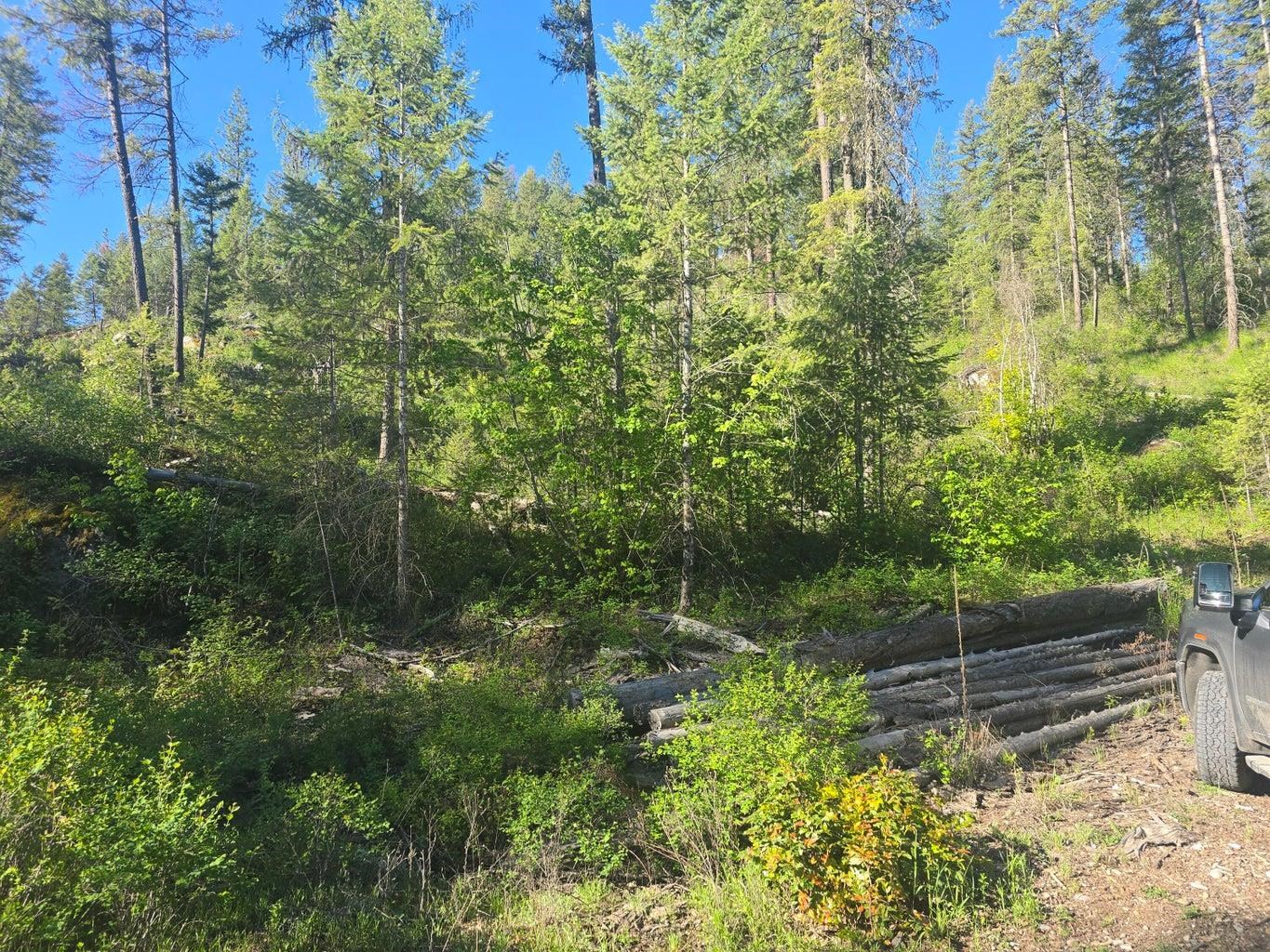 564 Crown Ridge Way Colville, WA 99114 - Photo 10 of 11 Gallery Image 10