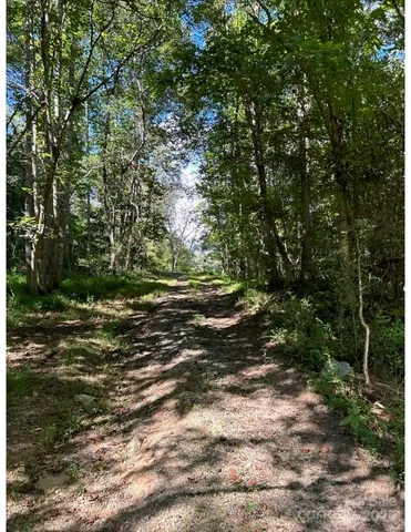 a view of a trees with a yard