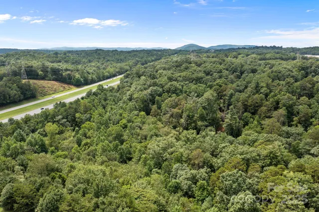 a view of a city with lush green forest