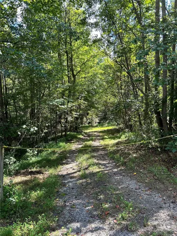 a view of outdoor space with trees all around