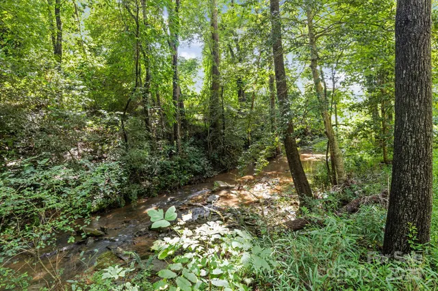 a backyard of a house with lots of trees
