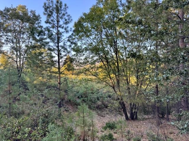 5809 Black Quartz Road Murphys, CA 95247 - Photo 3 of 4 Gallery Image 3