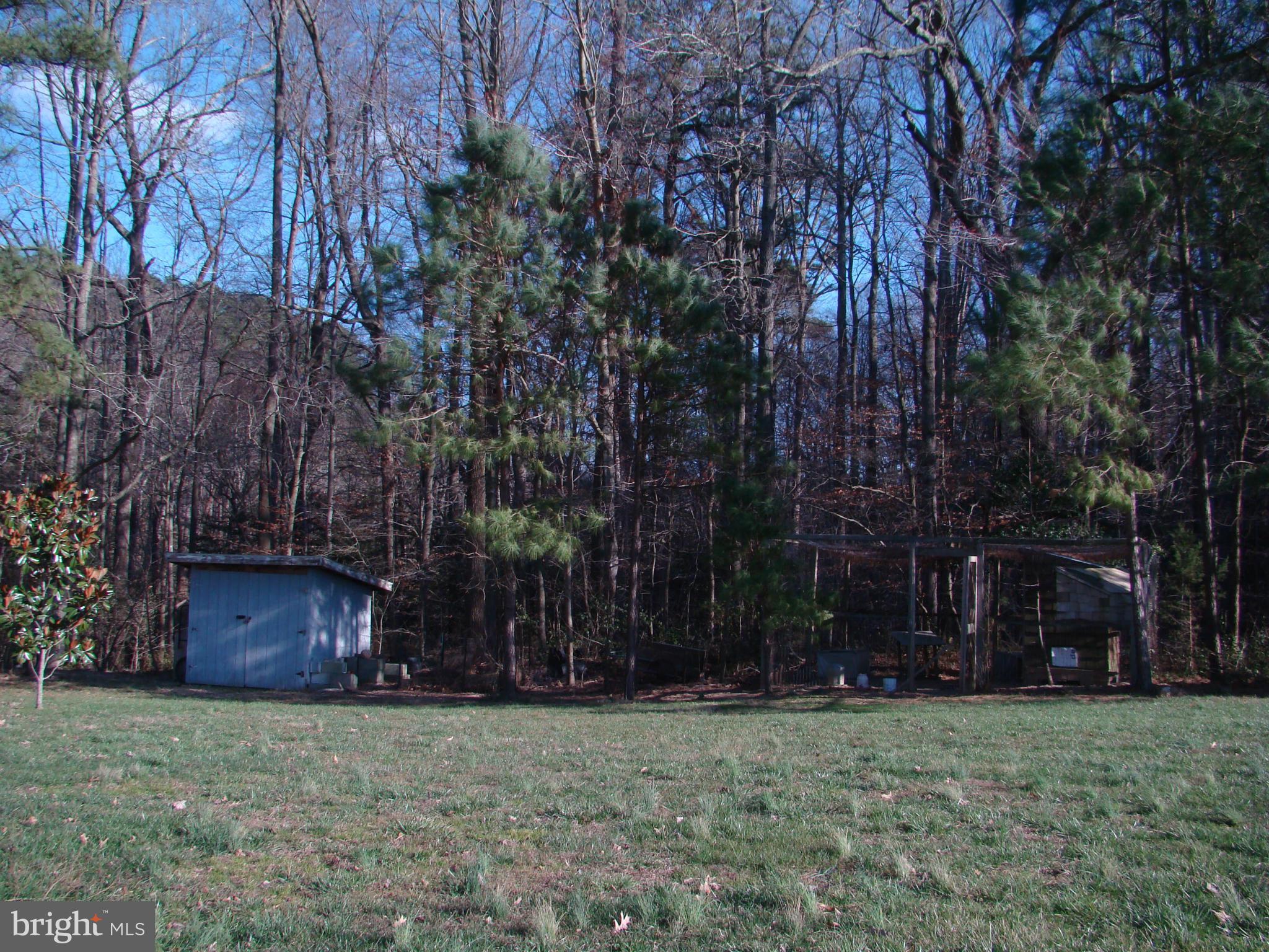2815 Money Make Road Trappe, MD 21673 - Photo 8 of 10 Exterior (Rear)