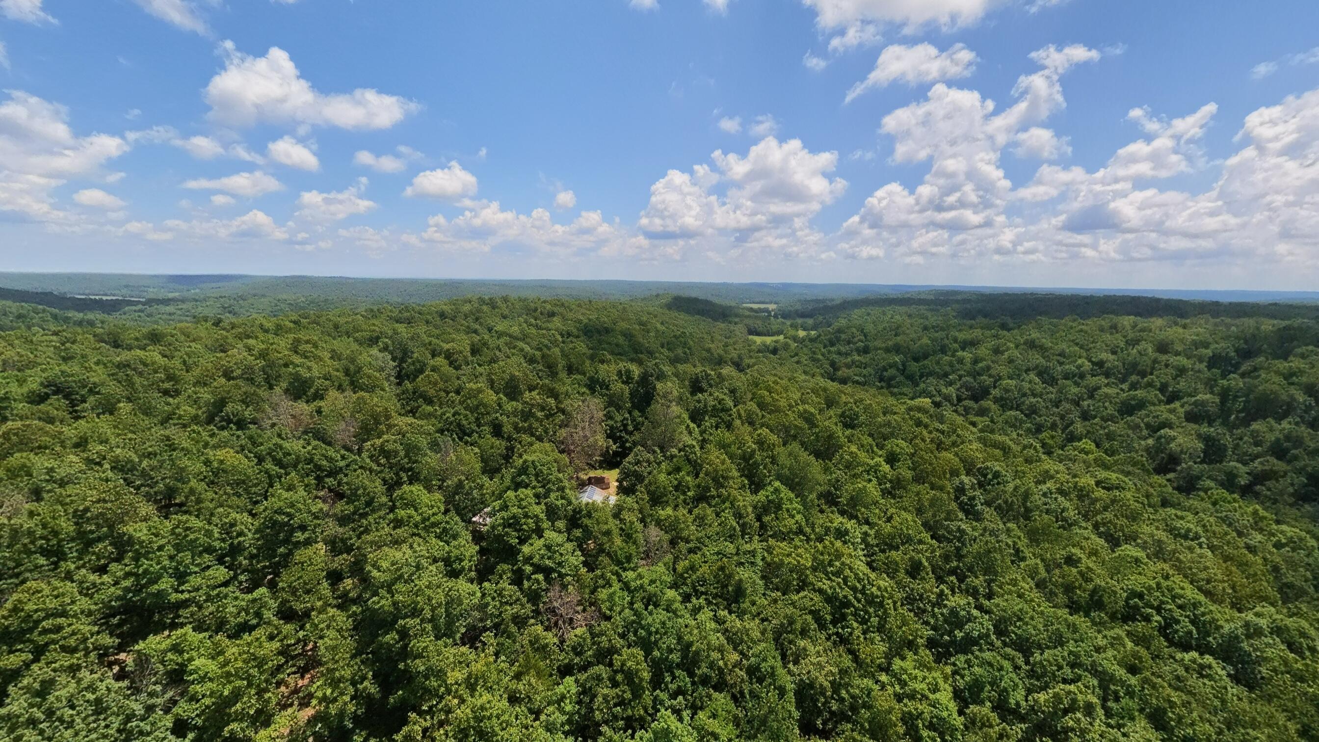 10824 Upper Janes Creek Road Ravenden, AR 72459 - Photo 56 of 79 93 acre hunting property055