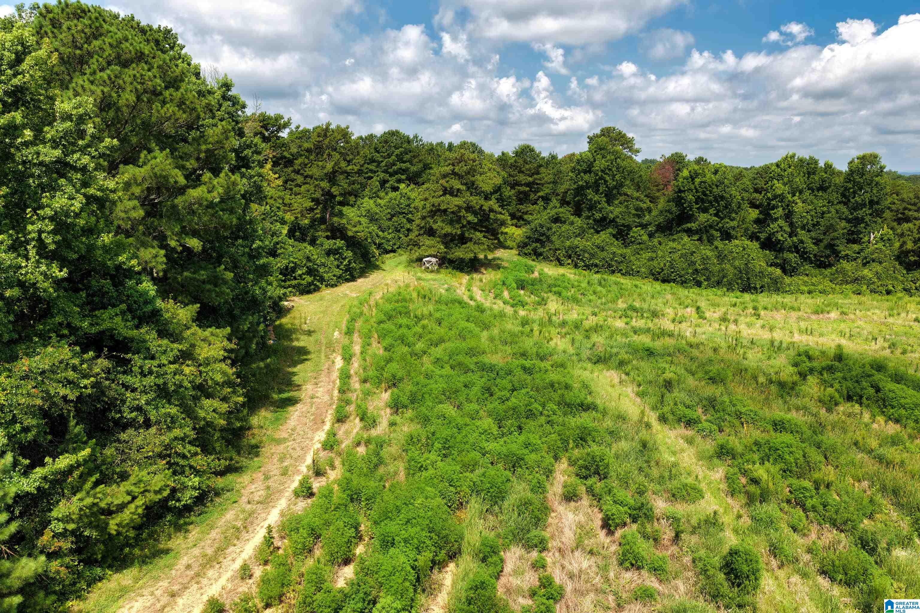 0 County Highway 27, Unit 47 Springville, AL 35146 - Photo 12 of 53