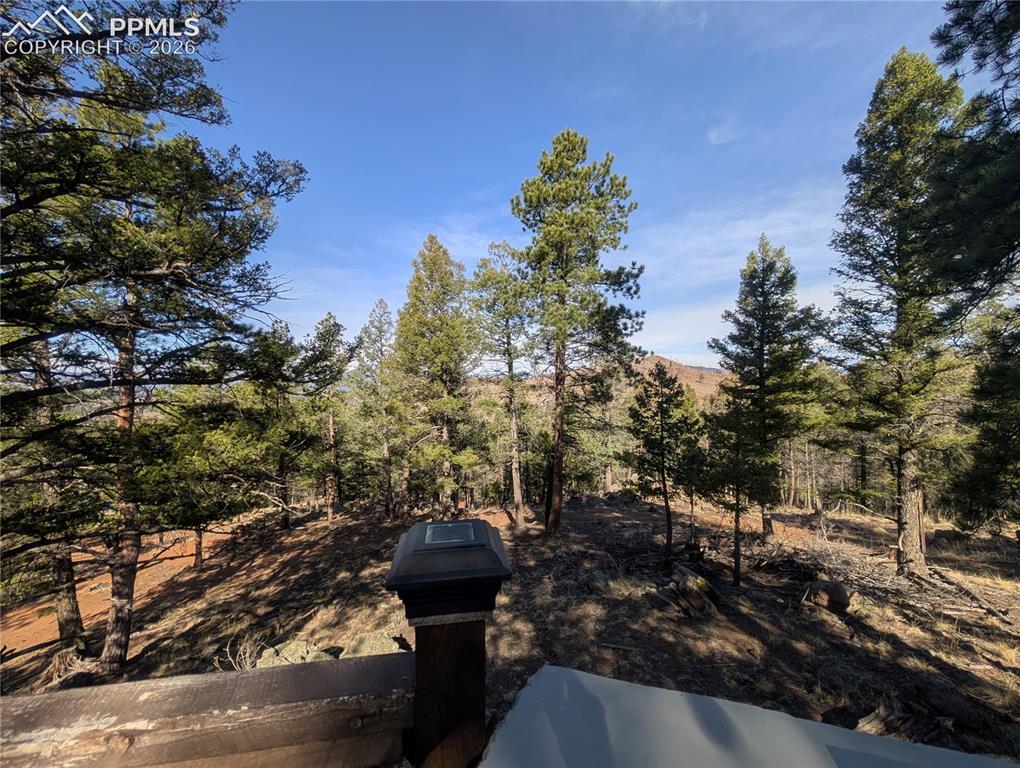 1176 Trail Creek Road Lake George, CO 80827 - Photo 11 of 34