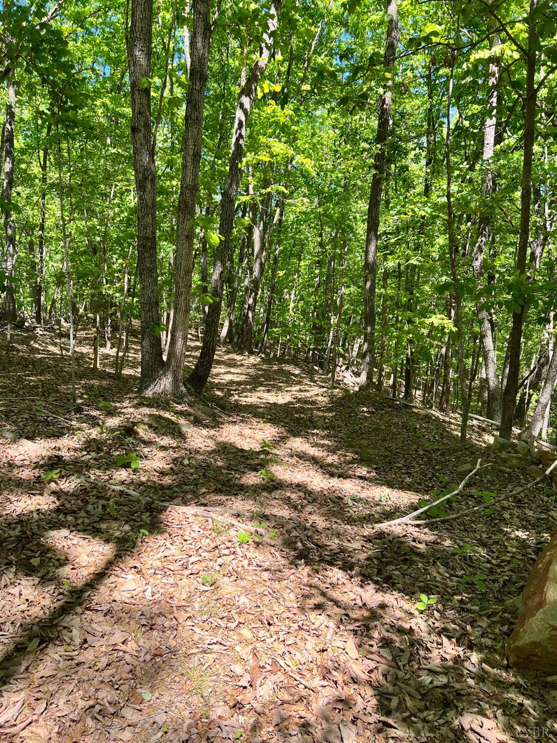 298 Braxton Ridge Road Amherst, VA 24521 - Photo 59 of 65 a backyard of a house with lots of green space