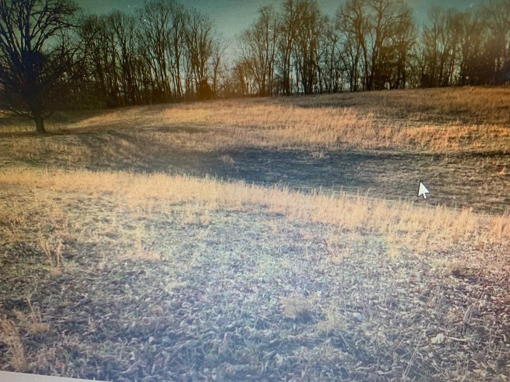 0 Texas Grove Road Spring City, TN 37381 - Photo 1 of 1 Gallery Image 1
