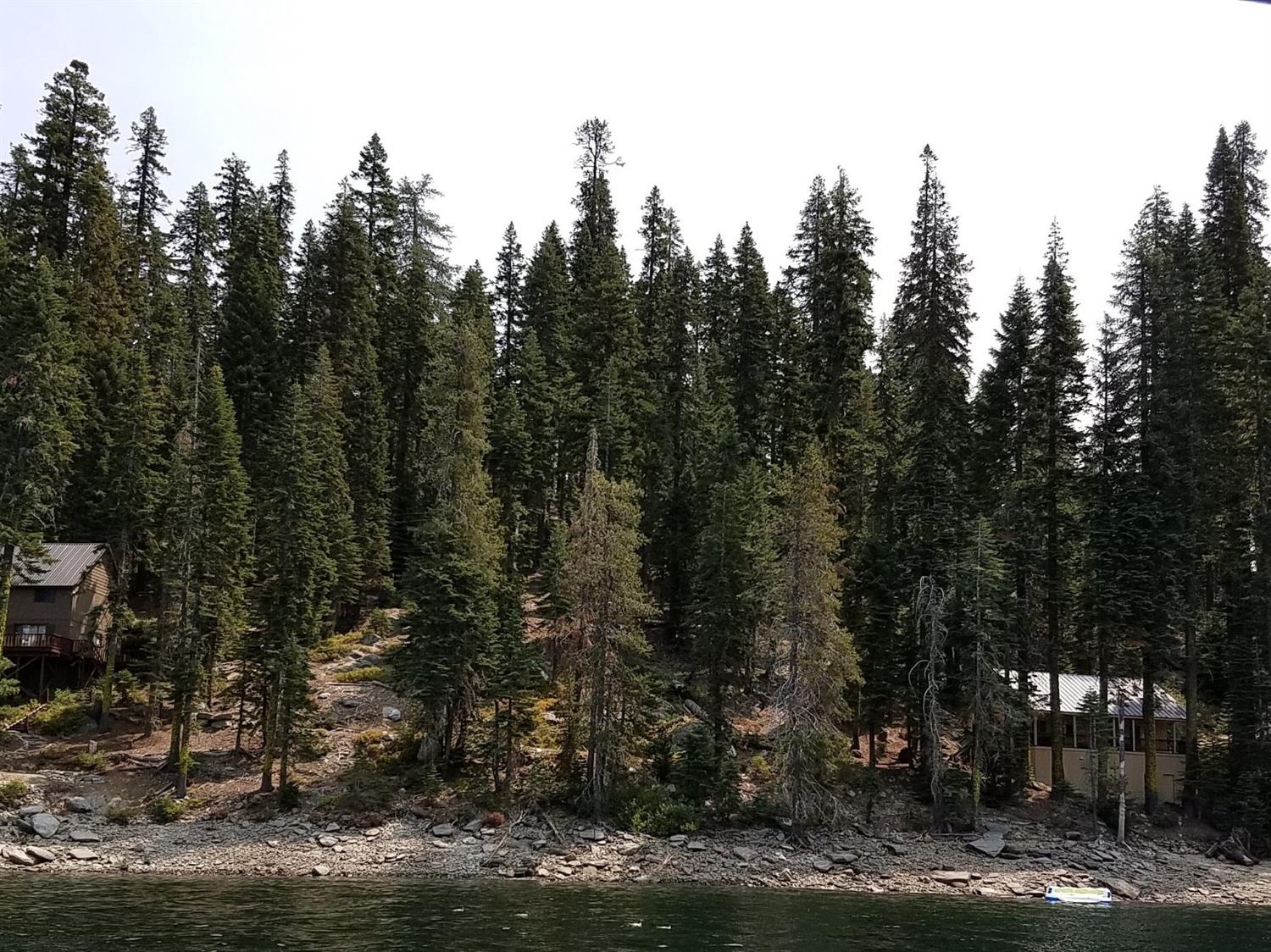 822 Mile High Road Bucks Lake, CA 95971 - Photo 2 of 8