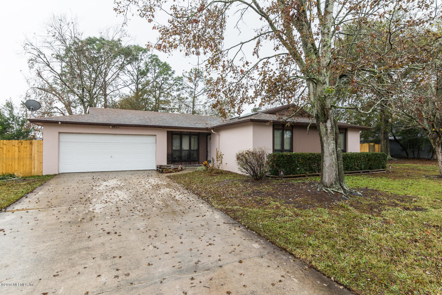 3880 Bo Tree Road Jacksonville, FL 32210 - Photo 1 of 15 Front