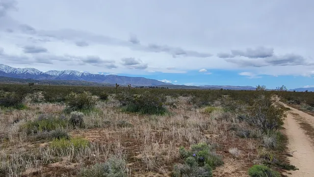 an aerial view of residential house and trees around