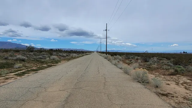 a view of a dry yard with a fence
