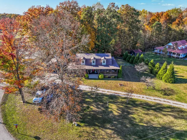 a view of a swimming pool with a yard and plants