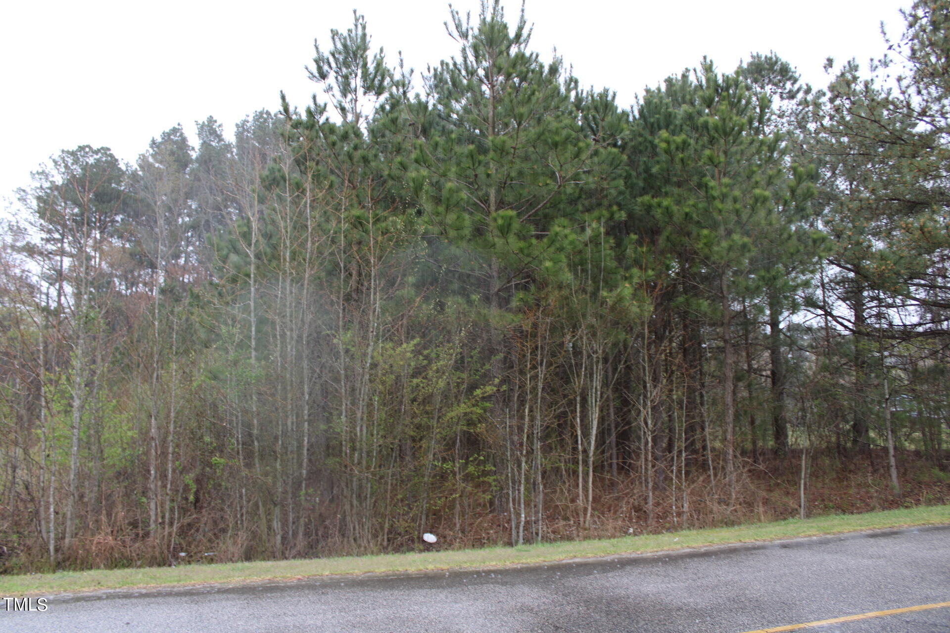 A Drake Road Battleboro, NC 27809 - Photo 14 of 17 IMG_1167