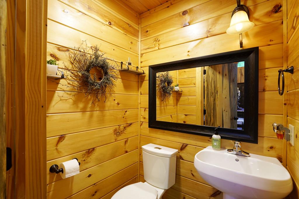 162 Grayson Point Blue Ridge, GA 30513 - Photo 47 of 71