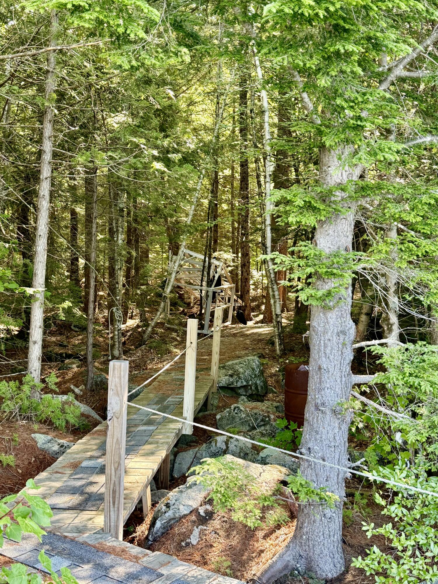 Lot 121 Lot Road Cherryfield, ME 04622 - Photo 44 of 47 IMG_6786