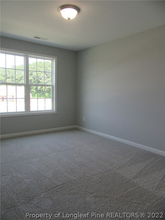6400 New Hope Church Road Wade, NC 28395 - Photo 21 of 41 Gallery Image 21