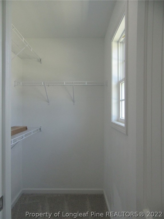 6400 New Hope Church Road Wade, NC 28395 - Photo 23 of 41 Gallery Image 23