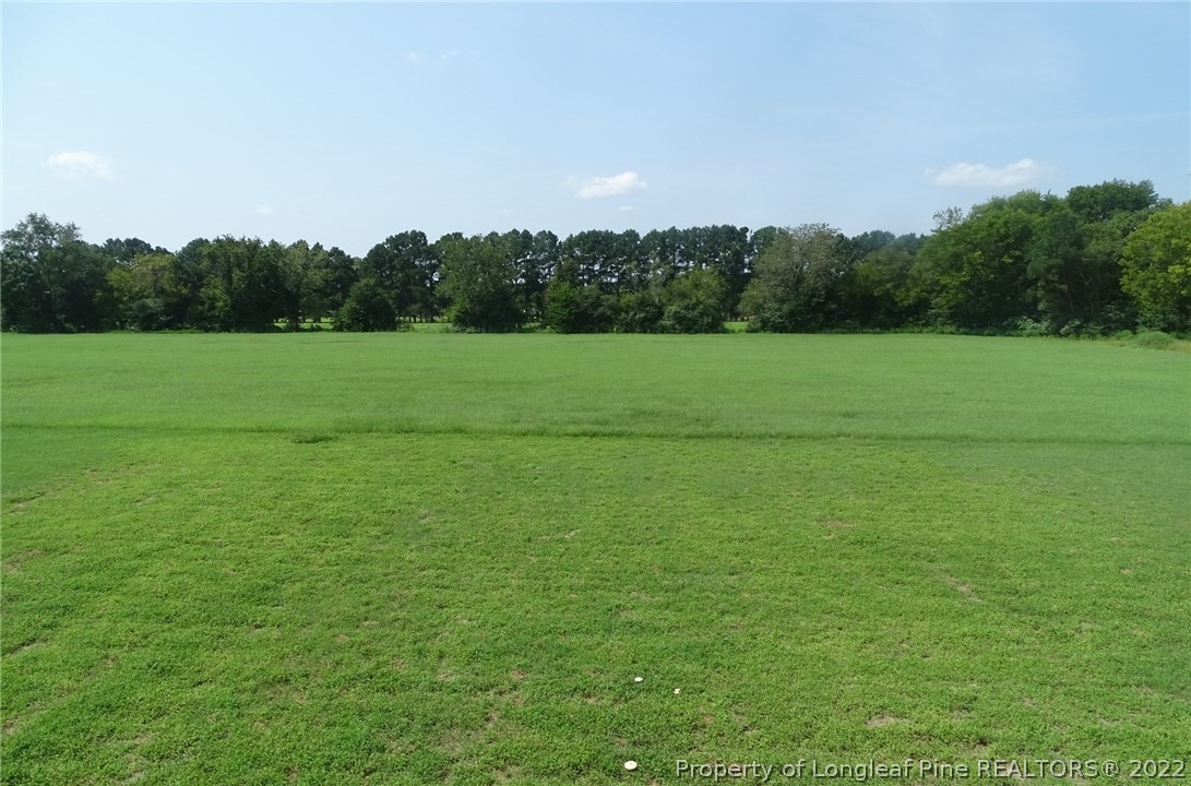 6400 New Hope Church Road Wade, NC 28395 - Photo 3 of 41 Gallery Image 3