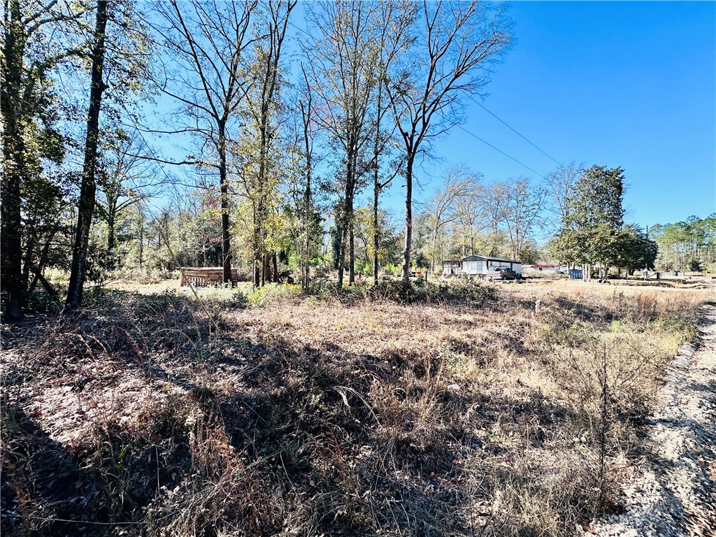 76 Armadillo Run Hortense, GA 31543 - Photo 2 of 2