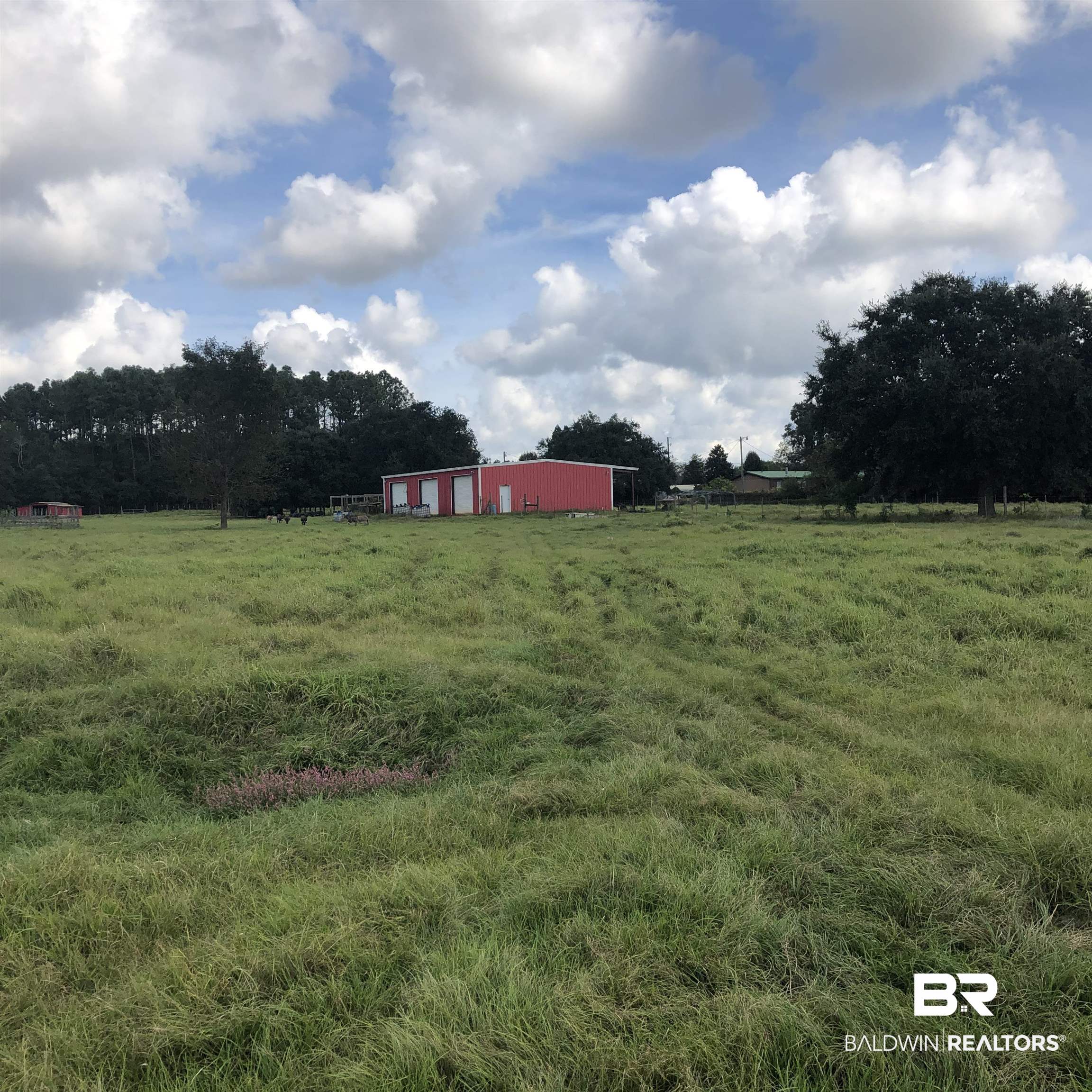10599 Rhett McConnell Road Theodore, AL 36582 - Photo 9 of 18