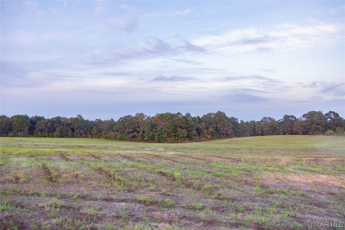 337 County Road 337 Brantley, AL 36009 - Photo 15 of 36 Gallery Image 15