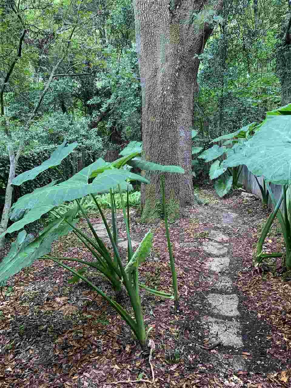 1520 Pullen Road, Unit 14 Tallahassee, FL 32303 - Photo 3 of 25 Gallery Image 3