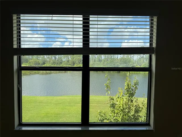 a view of a back yard from a window