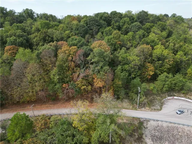 a view of a forest with a street