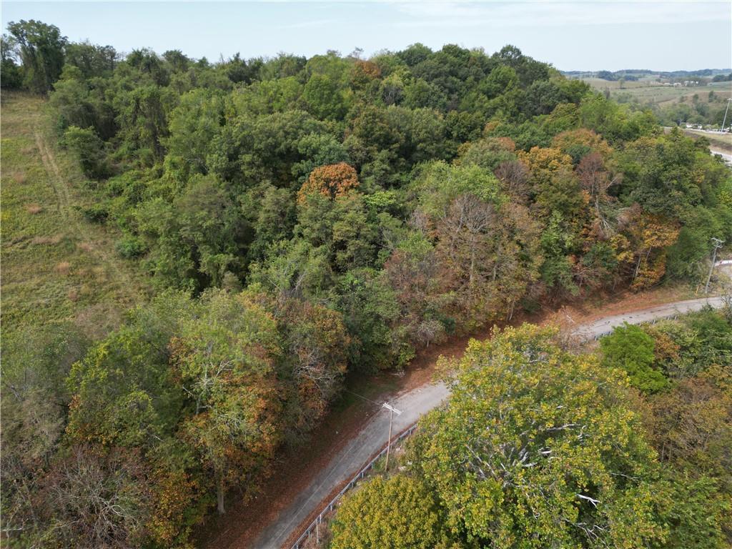 0 Bentleyville Road Charleroi, PA 15022 - Photo 16 of 19 a view of a forest with a street