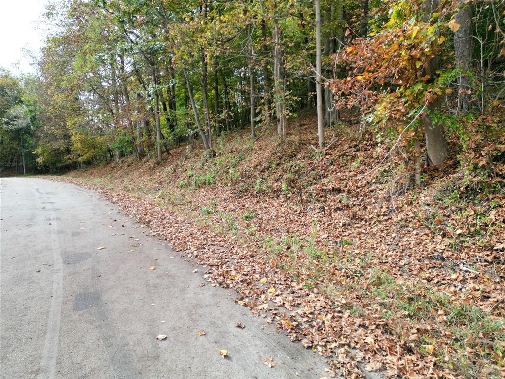 0 Bentleyville Road Charleroi, PA 15022 - Photo 17 of 19 a view of a forest with trees