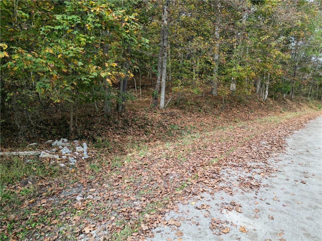 0 Bentleyville Road Charleroi, PA 15022 - Photo 18 of 19 a view of a forest with trees in the background