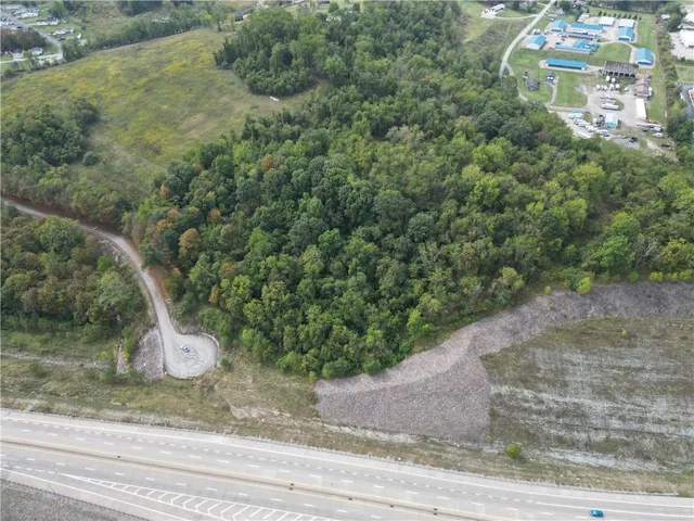 a view of a yard with a tree