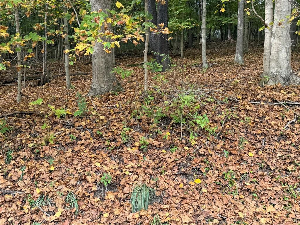 0 Bentleyville Road Charleroi, PA 15022 - Photo 5 of 19 a backyard of a house with lots of green space
