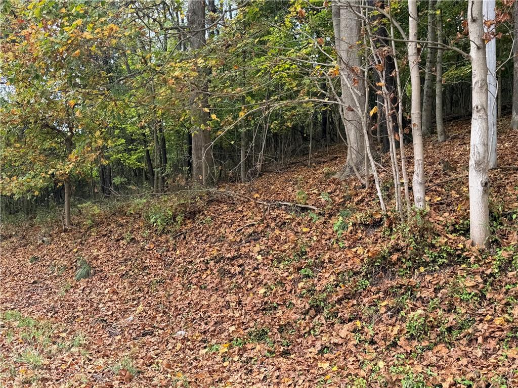 0 Bentleyville Road Charleroi, PA 15022 - Photo 6 of 19 a backyard of a house with lots of plants and large trees