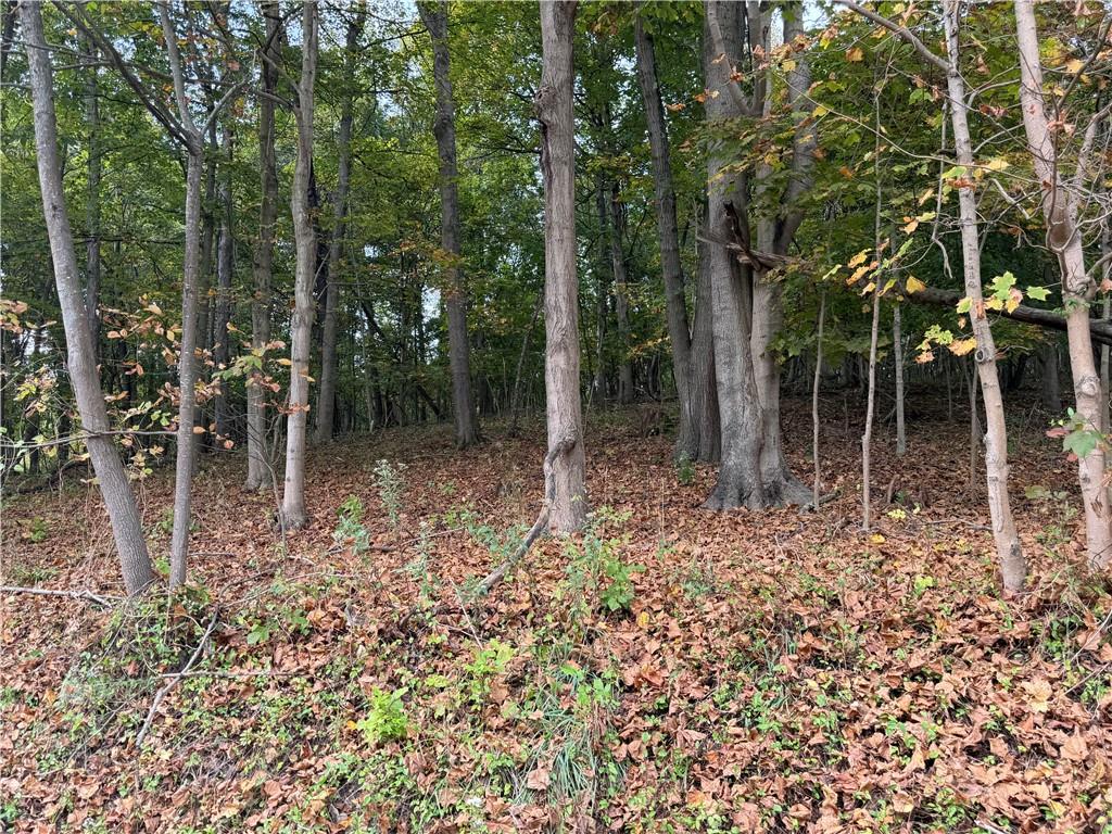 0 Bentleyville Road Charleroi, PA 15022 - Photo 7 of 19 a backyard of a house with lots of green space and a fountain