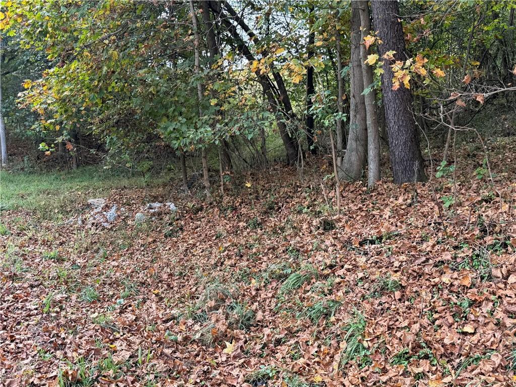 0 Bentleyville Road Charleroi, PA 15022 - Photo 8 of 19 a backyard of a house with lots of plants and large trees