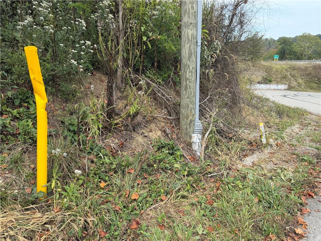 0 Bentleyville Road Charleroi, PA 15022 - Photo 9 of 19 a view of a backyard with plants and lake view