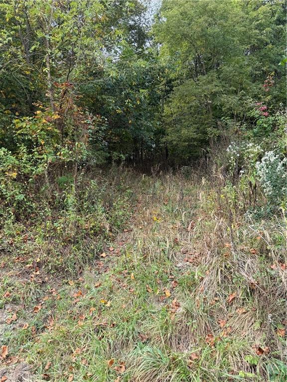 0 Bentleyville Road Charleroi, PA 15022 - Photo 10 of 19 a view of a bunch of trees