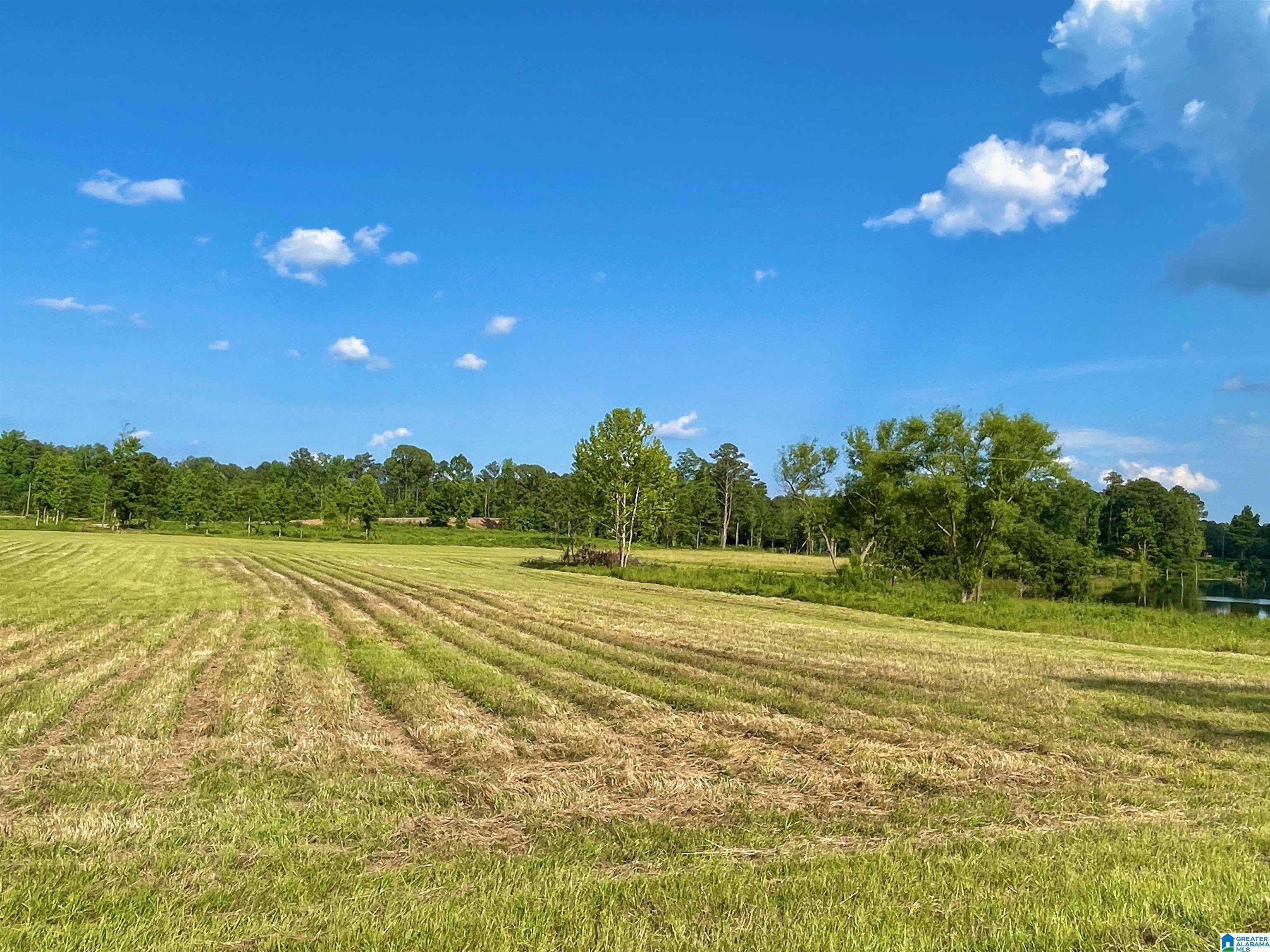 0 Burton Road, Unit 16 Shelby, AL 35143 - Photo 9 of 16