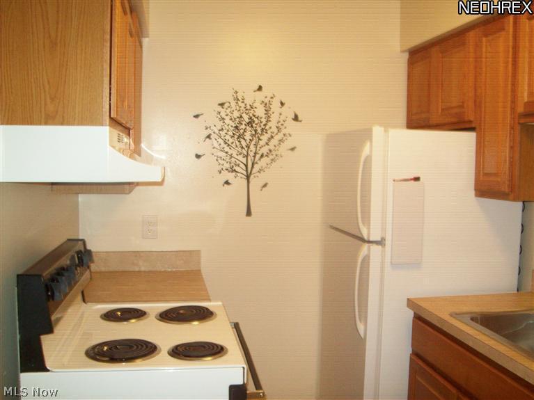 9956 Johnnycake Ridge Road, Unit L3 Painesville, OH 44077 - Photo 2 of 15 Cute kitchen comes with electric range, refrigerator, and dishwasher.